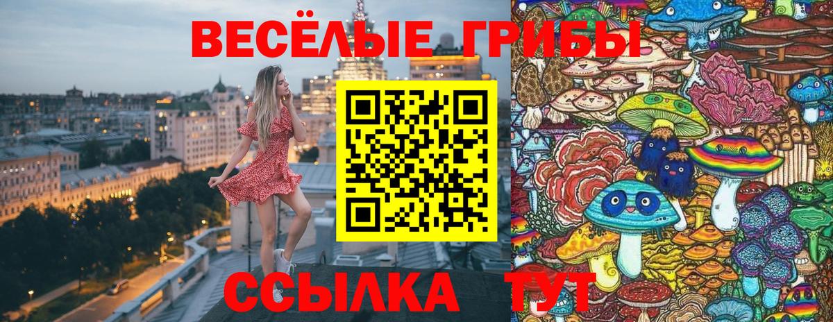Ачинск  Галлюциногенные грибы Magic Shrooms  Вход с VPN 